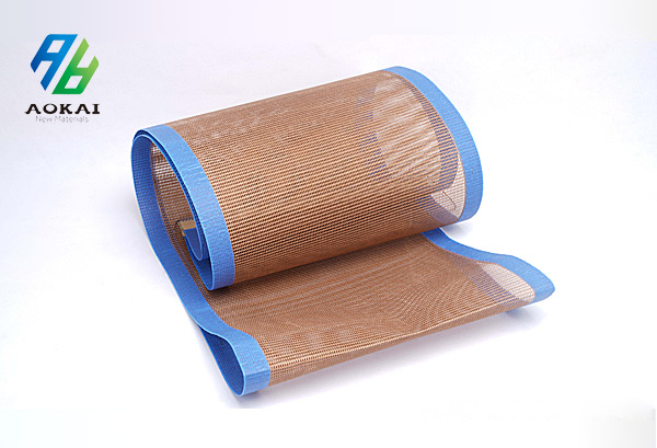  PTFE Mesh Belt 