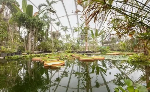 Why Is ETFE Often Used To Build Greenhouses?